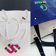 Wholesale Printed Shopping Gift Paper Bag with Handle